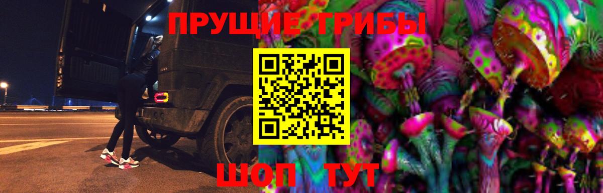 Псилоцибиновые грибы Cubensis  Вход с VPN  Тихвин 